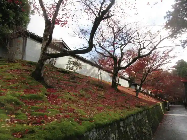 曼殊院門跡(京都府)