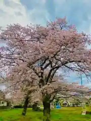 鹿嶋神社(茨城県)