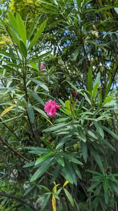 大谷本廟(京都府)