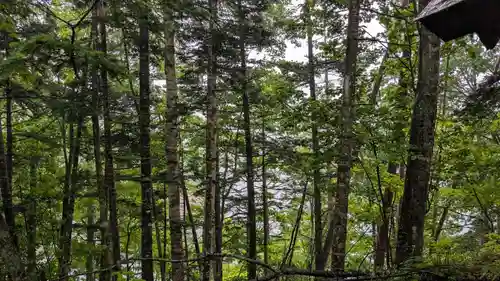 糠平電源神社の自然