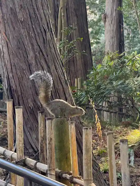 円覚寺(神奈川県)