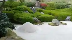 明月院の庭園