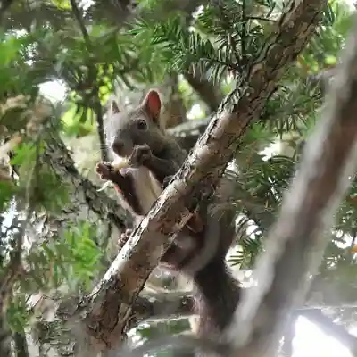 美幌神社(北海道)