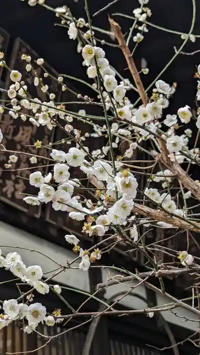 京都大神宮(京都府)