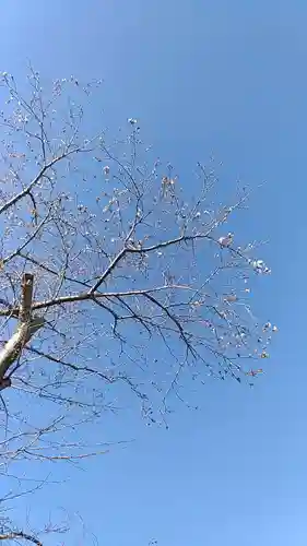 比佐豆知神社(三重県)