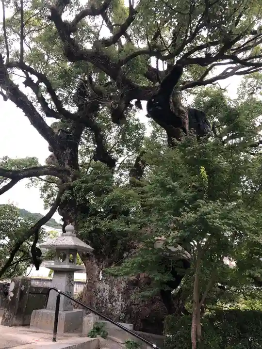 與止日女神社の自然
