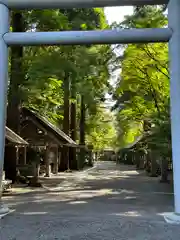 天岩戸神社(宮崎県)