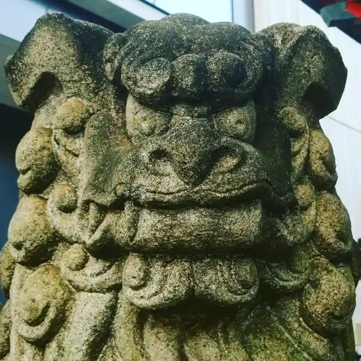 神田神社(神田明神)の狛犬