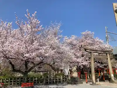 六孫王神社(京都府)