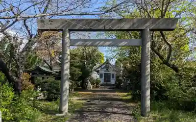 七所社（神尾町）の{uncategorized: "未分類", other: "その他", undefined: "問題あり", building: "その他建物", grave: "お墓", sacred_gate: "鳥居", guardian: "狛犬", statue: "像", buddha: "仏像", history: "歴史", nature: "自然", garden: "庭園", animal: "動物", pagoda: "塔", temizu: "手水舎", mountain_gate: "山門・神門", sanctuary: "本殿・本堂", subordinate: "末社・摂社", art: "芸術", scenery: "景色", jizo: "地蔵", ema: "絵馬", goshuin: "御朱印", omikuji: "おみくじ", items: "授与品その他", amulet: "お守り", goshuincho: "御朱印帳", eats: "食事", festival: "お祭り", votive_dance: "神楽", shichigosan: "七五三参", wedding: "結婚式", experience: "体験その他", initially: "初詣", around: "周辺", anti_infection: "感染症対策"}