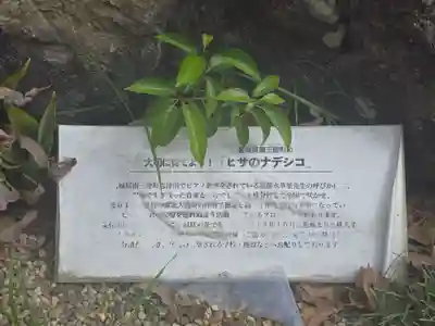 法楽寺(大阪府)