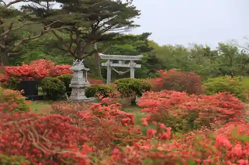 高柴山神社の本殿