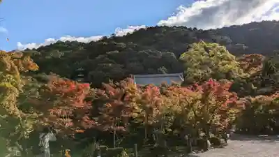 禅林寺(永観堂)(京都府)