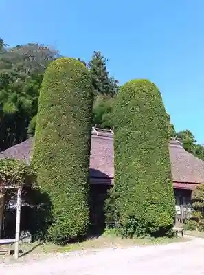 八王寺(埼玉県)