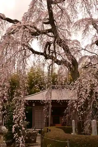 法蓮寺(愛媛県)
