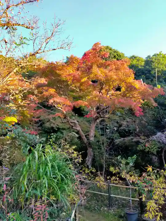 不退寺(奈良県)