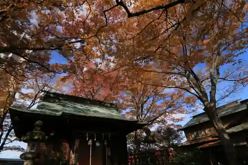 愛宕神社の本殿