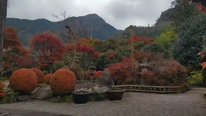 長泉院(埼玉県)