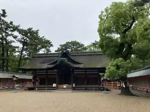 住吉大社の本殿