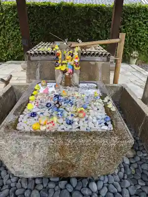 くろ谷 金戒光明寺(京都府)