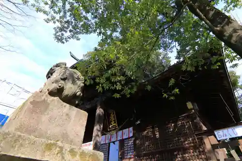 阿邪訶根神社の本殿・本堂