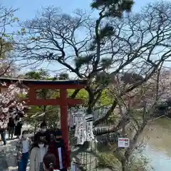 鶴岡八幡宮の建物その他