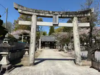素盞嗚神社の御朱印 2026年04月