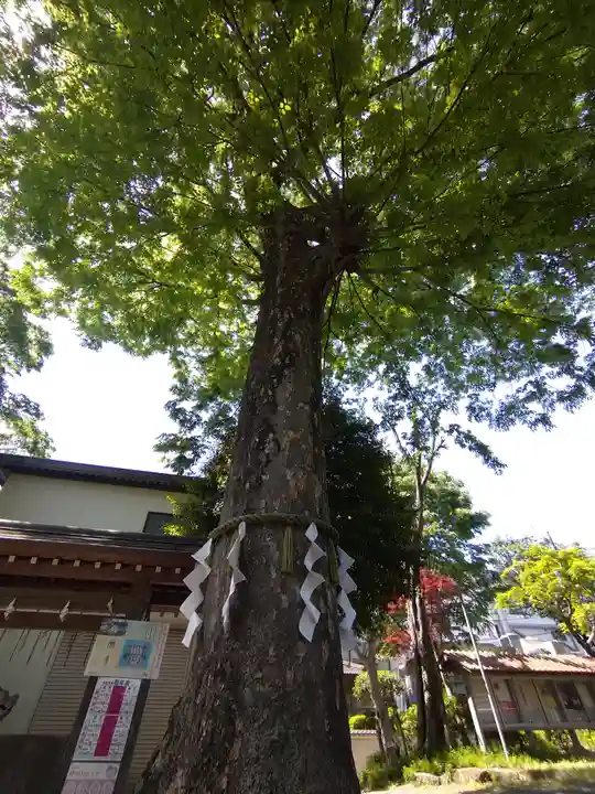 青渭神社(東京都)