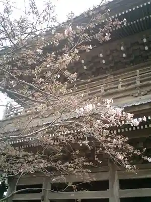 光明寺(神奈川県)