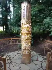 下野 星宮神社の建物その他