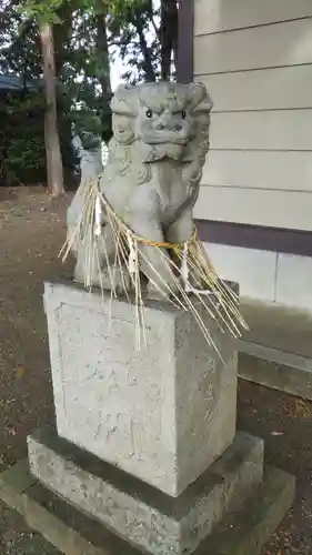 白髭神社の狛犬