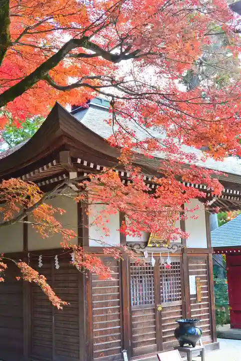 高尾山薬王院(東京都)