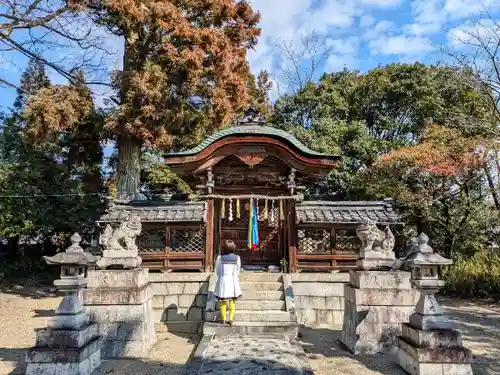 男山八幡宮の本殿