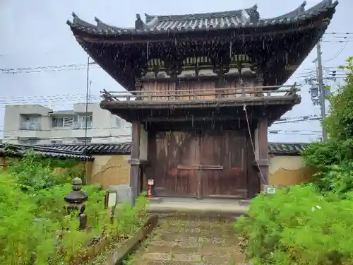 般若寺 ❁﻿コスモス寺❁の山門