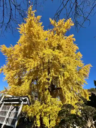 丹生酒殿神社(和歌山県)