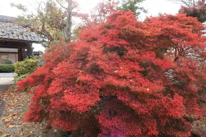 大福寺(岐阜県)