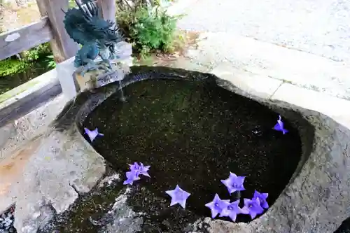 鹿島大神宮の手水舎