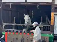 賀茂別雷神社(上賀茂神社)(京都府)