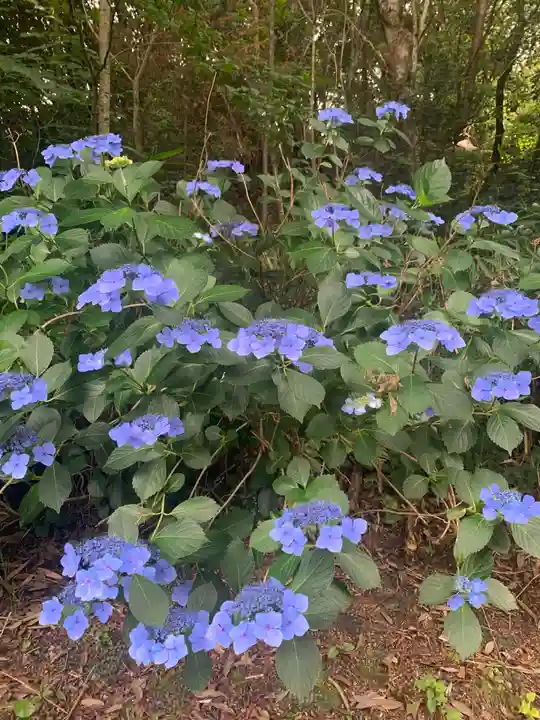 瀧谷不動尊 明王寺(大阪府)