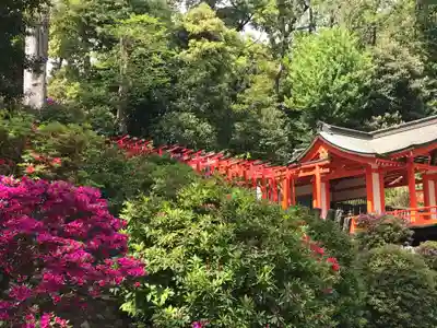 根津神社(東京都)
