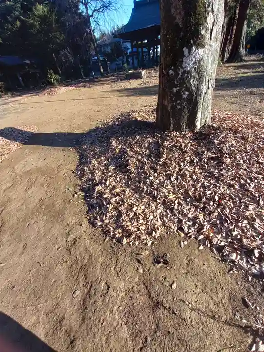 月讀神社(茨城県)