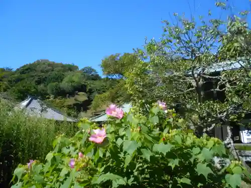 海蔵寺の庭園