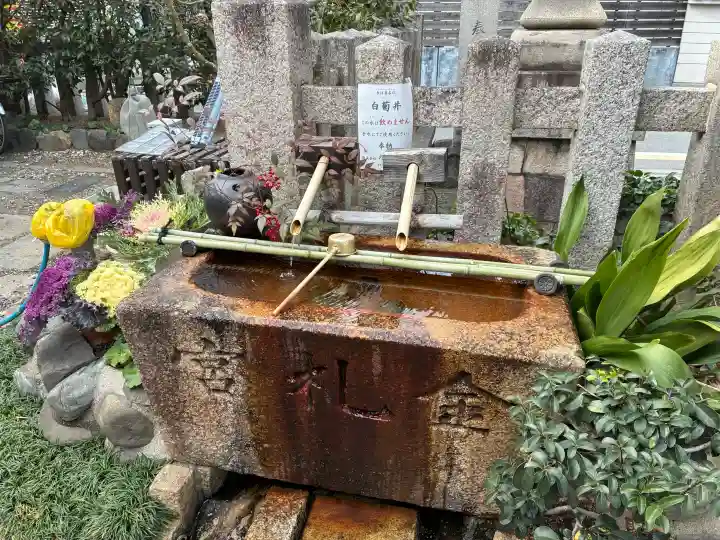 金札宮の{uncategorized: "未分類", other: "その他", undefined: "問題あり", building: "その他建物", grave: "お墓", sacred_gate: "鳥居", guardian: "狛犬", statue: "像", buddha: "仏像", history: "歴史", nature: "自然", garden: "庭園", animal: "動物", pagoda: "塔", temizu: "手水舎", mountain_gate: "山門・神門", sanctuary: "本殿・本堂", subordinate: "末社・摂社", art: "芸術", scenery: "景色", jizo: "地蔵", ema: "絵馬", goshuin: "御朱印", omikuji: "おみくじ", items: "授与品その他", amulet: "お守り", goshuincho: "御朱印帳", eats: "食事", festival: "お祭り", votive_dance: "神楽", shichigosan: "七五三参", wedding: "結婚式", experience: "体験その他", initially: "初詣", around: "周辺", anti_infection: "感染症対策"}