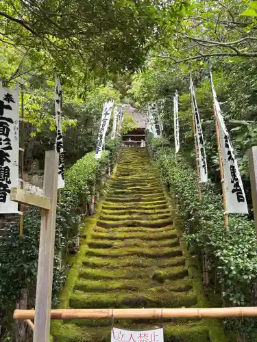 杉本寺の{uncategorized: "未分類", other: "その他", undefined: "問題あり", building: "その他建物", grave: "お墓", sacred_gate: "鳥居", guardian: "狛犬", statue: "像", buddha: "仏像", history: "歴史", nature: "自然", garden: "庭園", animal: "動物", pagoda: "塔", temizu: "手水舎", mountain_gate: "山門・神門", sanctuary: "本殿・本堂", subordinate: "末社・摂社", art: "芸術", scenery: "景色", jizo: "地蔵", ema: "絵馬", goshuin: "御朱印", omikuji: "おみくじ", items: "授与品その他", amulet: "お守り", goshuincho: "御朱印帳", eats: "食事", festival: "お祭り", votive_dance: "神楽", shichigosan: "七五三参", wedding: "結婚式", experience: "体験その他", initially: "初詣", around: "周辺", anti_infection: "感染症対策"}