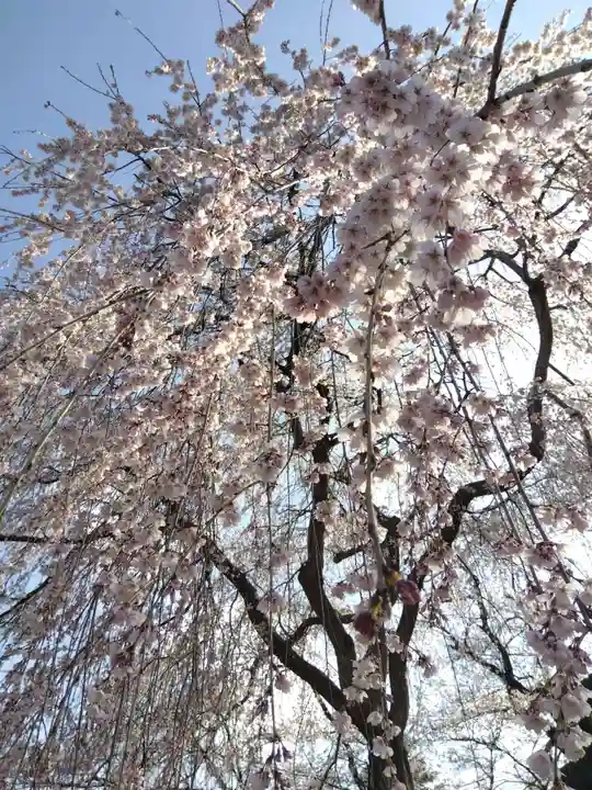 伊部波島大神(新潟県)