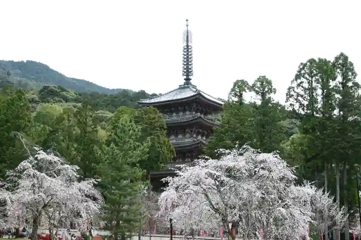 醍醐寺(京都府)