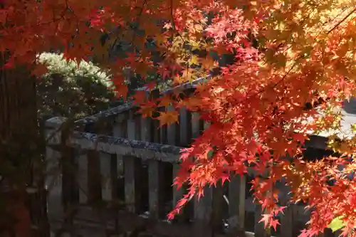 国宝 大法寺の景色