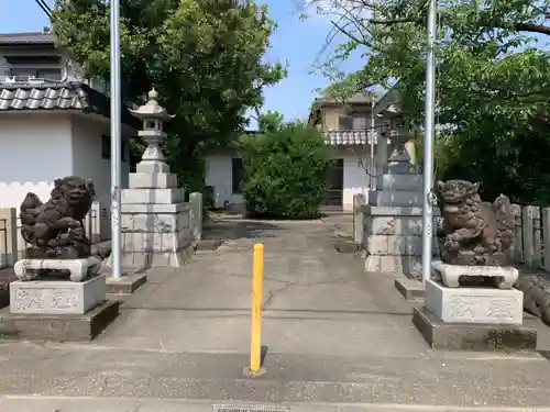 八幡社（中切町）の狛犬