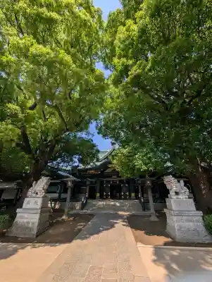 穴八幡宮の{uncategorized: "未分類", other: "その他", undefined: "問題あり", building: "その他建物", grave: "お墓", sacred_gate: "鳥居", guardian: "狛犬", statue: "像", buddha: "仏像", history: "歴史", nature: "自然", garden: "庭園", animal: "動物", pagoda: "塔", temizu: "手水舎", mountain_gate: "山門・神門", sanctuary: "本殿・本堂", subordinate: "末社・摂社", art: "芸術", scenery: "景色", jizo: "地蔵", ema: "絵馬", goshuin: "御朱印", omikuji: "おみくじ", items: "授与品その他", amulet: "お守り", goshuincho: "御朱印帳", eats: "食事", festival: "お祭り", votive_dance: "神楽", shichigosan: "七五三参", wedding: "結婚式", experience: "体験その他", initially: "初詣", around: "周辺", anti_infection: "感染症対策"}