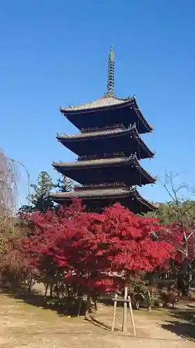 仁和寺の塔